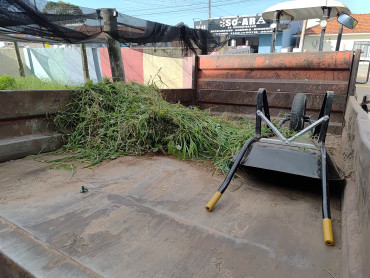 Foto 71: Preparativos para volta às aulas 