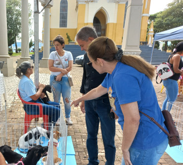 Foto 13: Vacinação antirrábica, testes de leishmaniose e adoção de animais são realizados em Quatá
