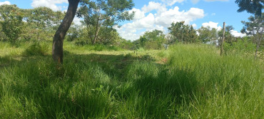 Foto 25: LIMPEZA, MANUTENÇÃO, REPAROS E SERVIÇOS DIVERSOS