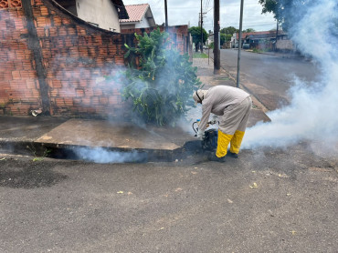 Foto 4: Termonebulização reforça ações de controle e prevenção de pragas urbanas em Quatá