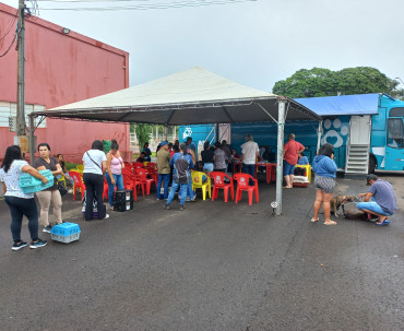 Foto 15: 115 animais são atendidos pelo 