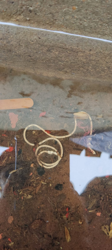 Foto 16: A luta contra a Dengue continua! Fique atento. Não deixe água parada.