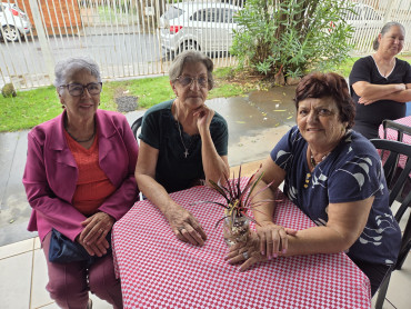 Foto 45: CRAS promove café da manhã especial em comemoração ao Dia do Idoso