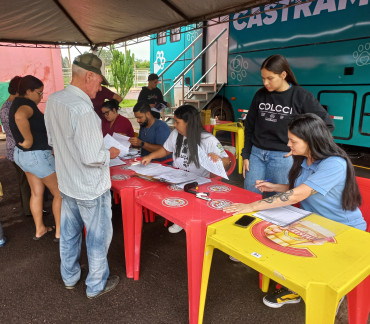 Foto 20: 115 animais são atendidos pelo 