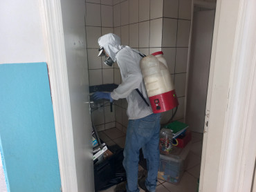 Foto 151: Preparativos para volta às aulas 