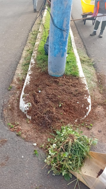 Foto 2: Resumo dos trabalhos realizados durante o mês de janeiro e início de fevereiro