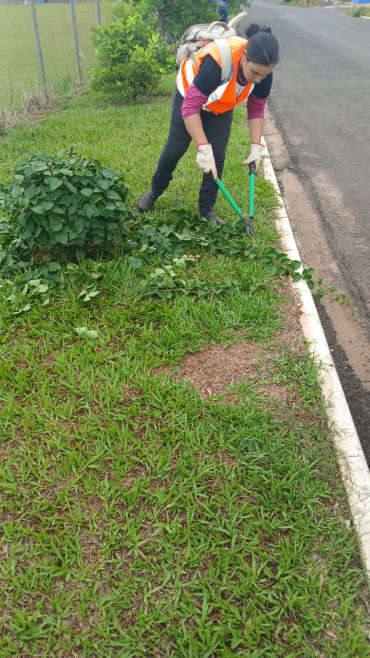 Foto 19: Resumo dos trabalhos realizados durante o mês de janeiro e início de fevereiro