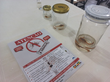 Foto 59: Ação educativa em combate e Dengue e o Escorpião