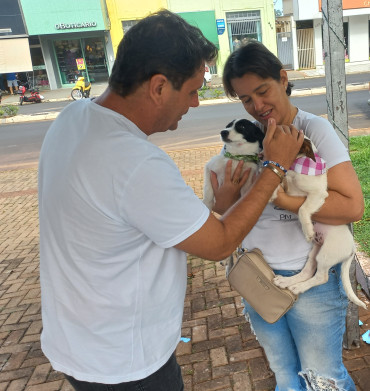Foto 1: Vacinação antirrábica, testes de leishmaniose e adoção de animais são realizados em Quatá