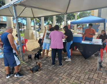 Foto 19: Vacinação antirrábica, testes de leishmaniose e adoção de animais são realizados em Quatá