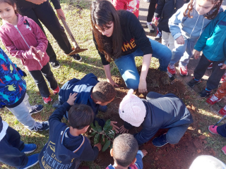 AU2 - Trabalho efetivo para o aumento do percentual da cobertura vegetal no perímetro urbano.